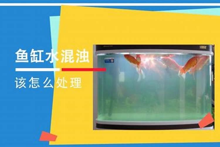 花生钙肥,硼肥,钼肥可以混合叶面喷施吗？