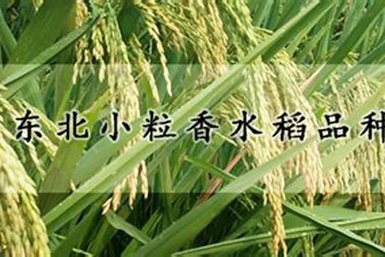 干洗店加盟成本高吗？