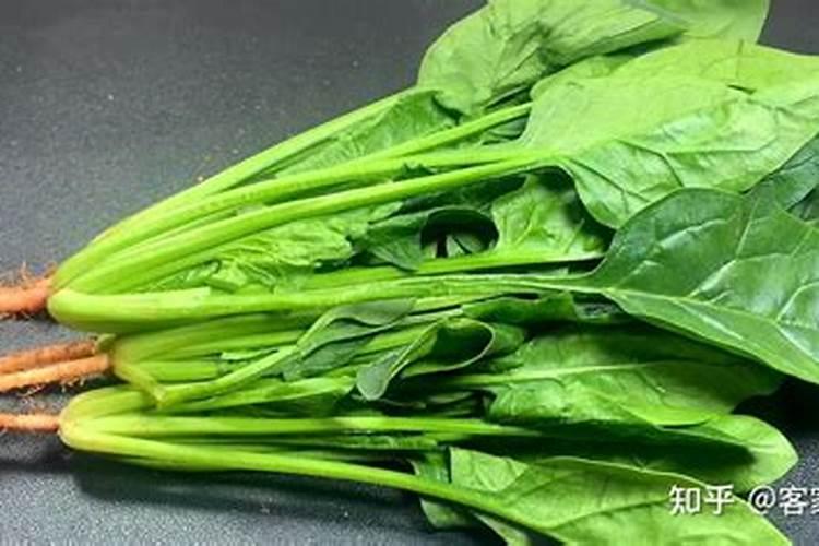 东北饭豆怎么吃