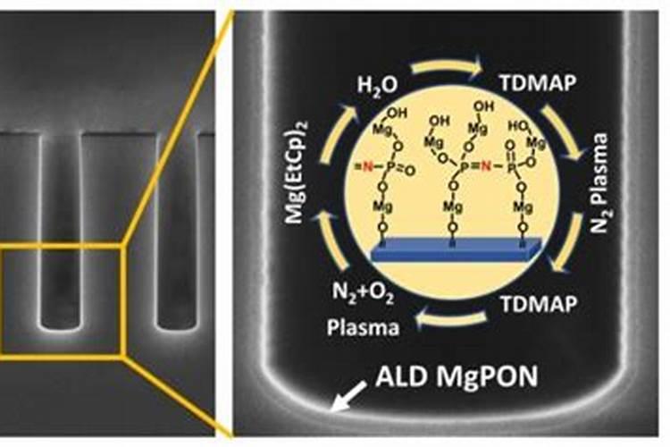 尿素是固态氮肥吗