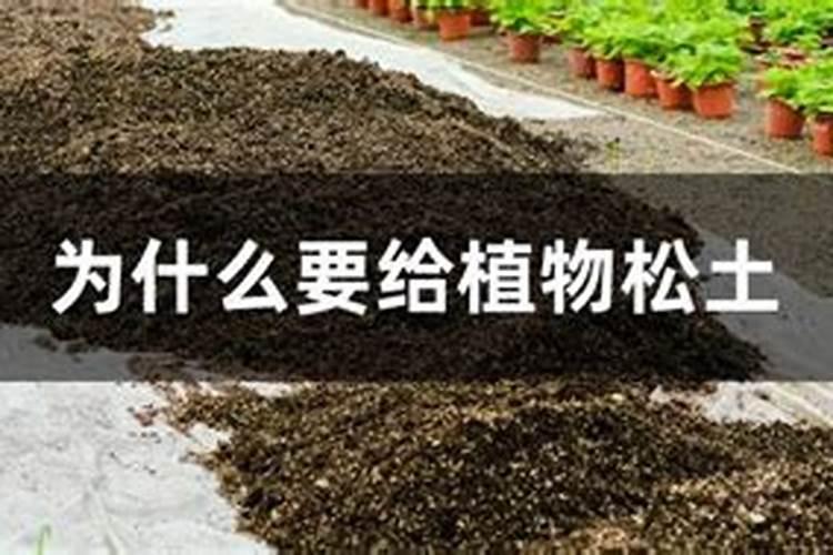 水溶肥能给农作物带来多大的帮助？