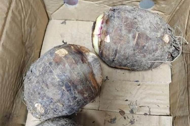 氯化钾干什么用的