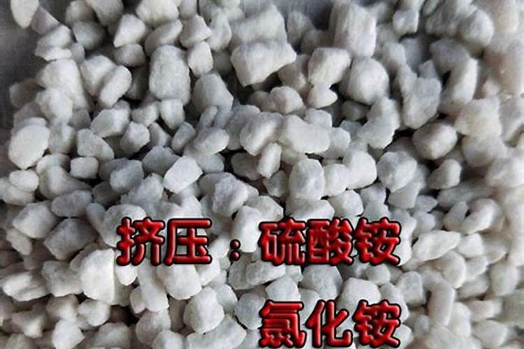 目前造粒设备那种好、国内靠谱的厂家有哪些？