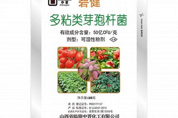 最新打炭疽病的药,盘点6种疗效最佳药液
