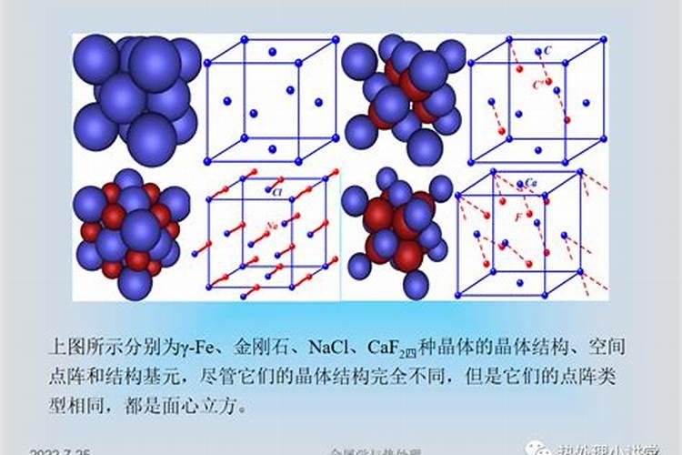 常见的氮肥有什么