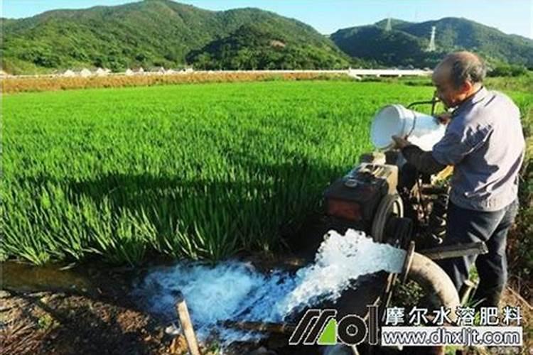 脲铵氮肥和尿素的区别是什么