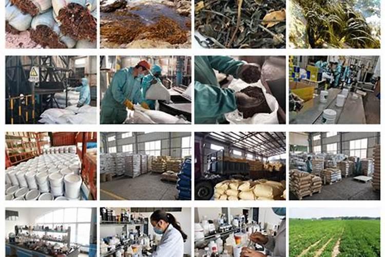 大雨过后五六天樱桃树开始枯萎该怎么补救,急需办法补救