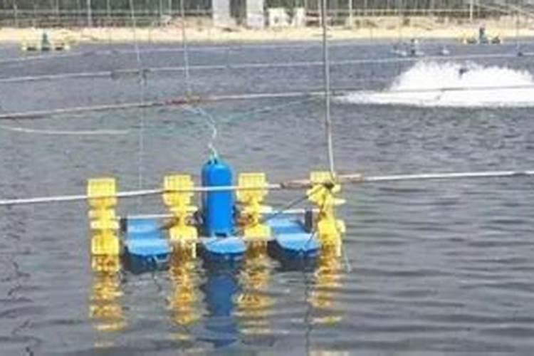 硫酸钙和碳酸钙哪个更容易吸收