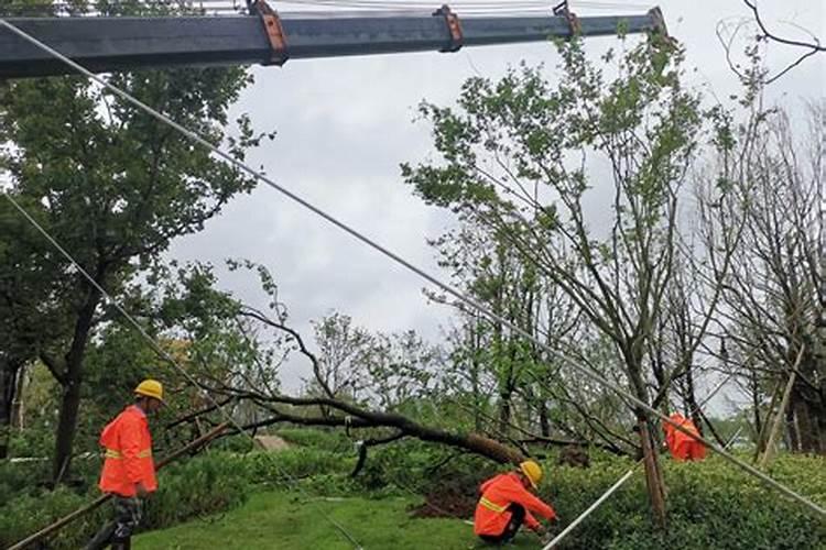 抗倒伏的是什么肥