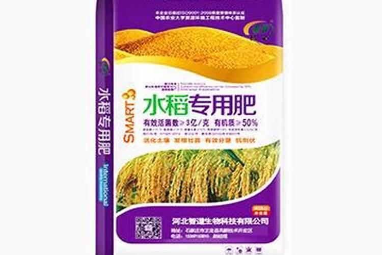 饼肥和粪肥哪个种菜好