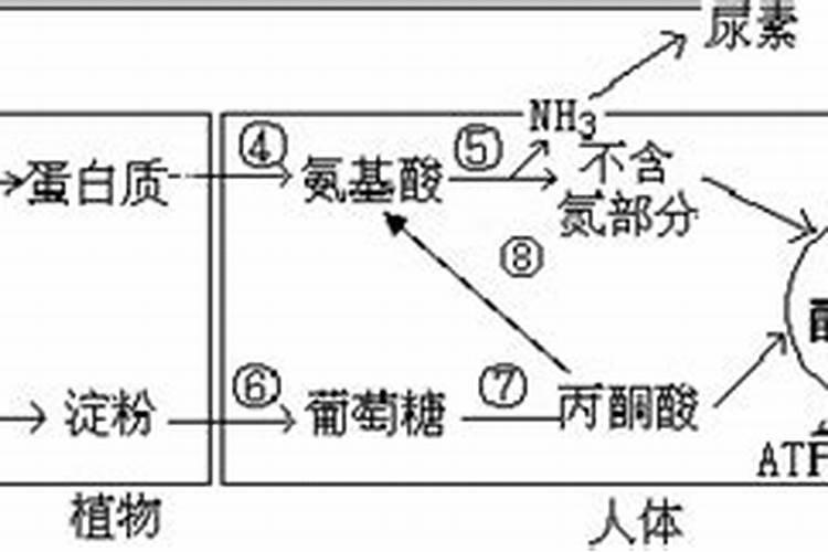 平衡肥都含什么成分
