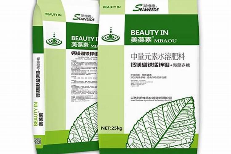 高温天气草莓苗地怎么浇水 夏季草莓降温养护