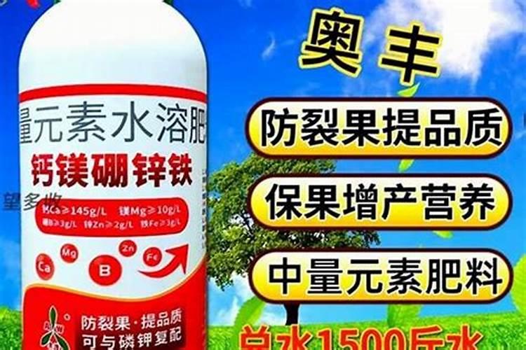 黄皮果施什么肥最好