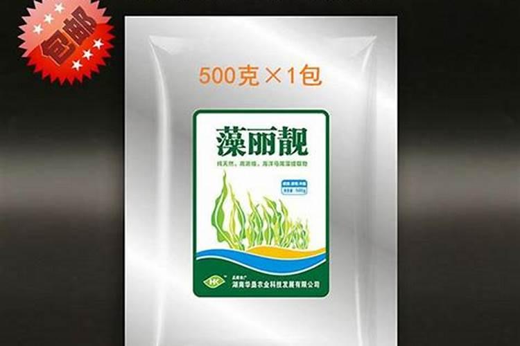 蓝莓种二十天可以用海藻肥吗