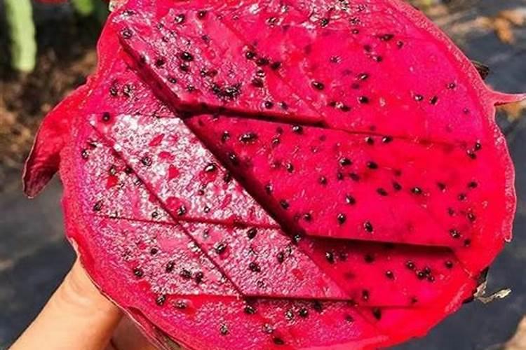 四川涧尔科技有限公司国光施优特水溶肥五千克的多少钱一袋