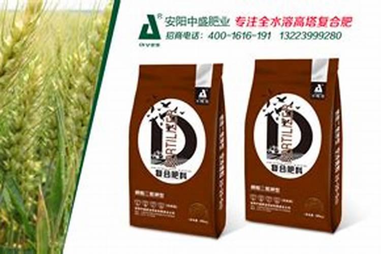 种玉米底肥用什么复合肥好