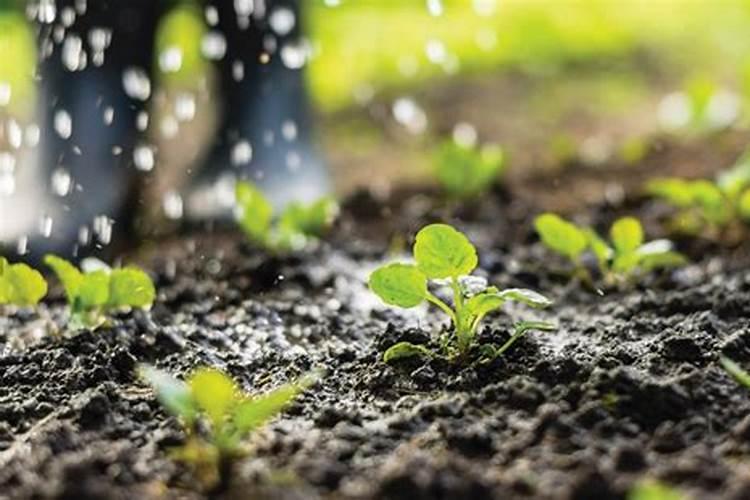 司祈曼(上海)化工有限公司怎么样？