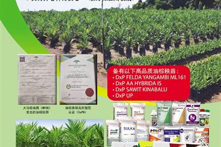 草木灰可以和复合肥一起施肥吗 尿素和草木灰可以一起下吗