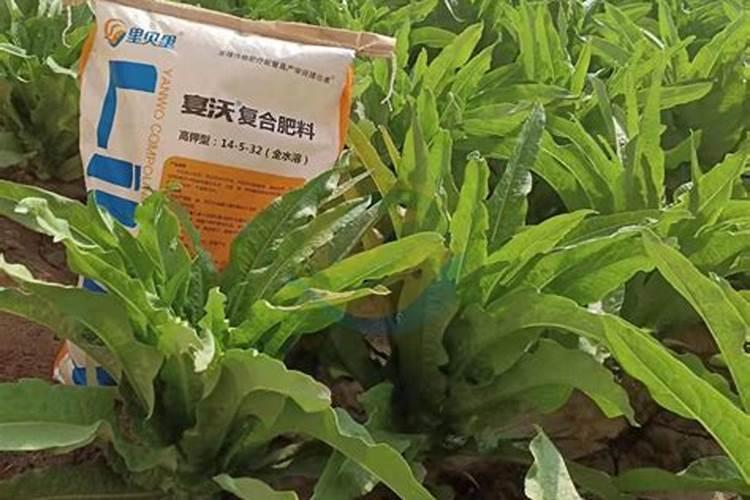 枣树用水溶肥什么牌子好？水溶肥厂家,水溶肥价格多少？