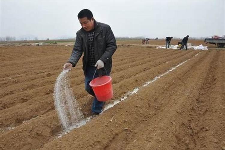 山边的沙土地太瘦了,沙土水流失的太快,用什么肥料好,