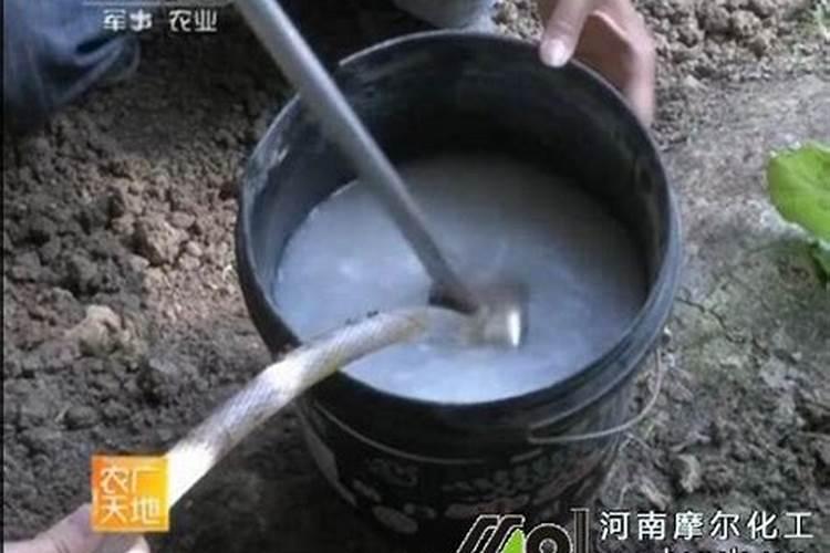 水溶肥的正确使用方法