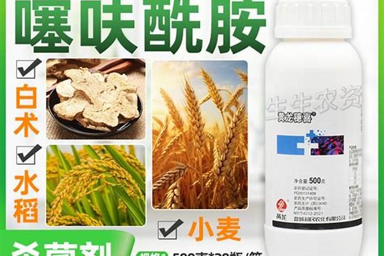 白绢病用什么药