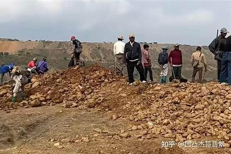 花生叶面肥用什么高产 什么时候施肥好