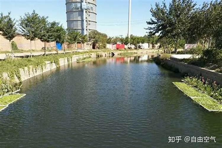 碳铵可以杀蓝藻吗