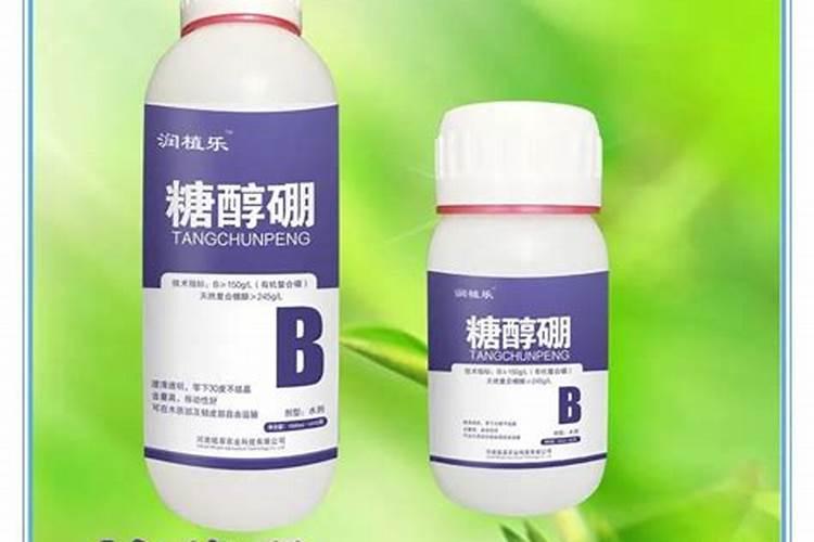 白菜喷什么叶面肥长得快