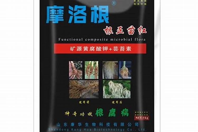 芸豆苗期冻害产量有影响吗？