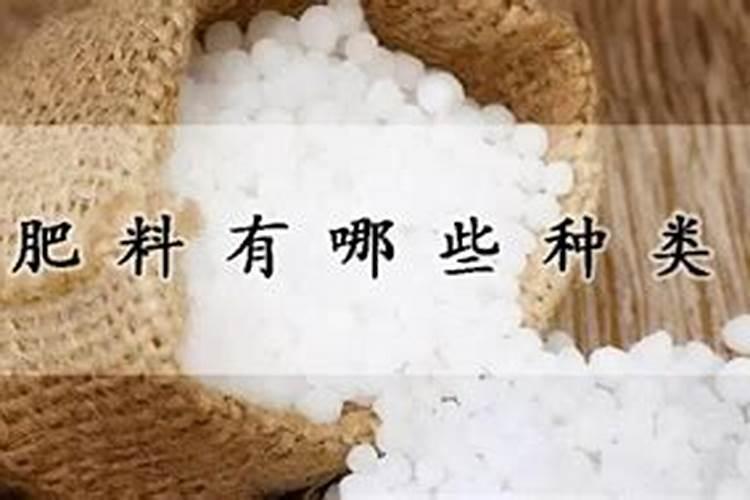 买来的金钱树盆栽一般多久要施肥 金钱树盆栽需定期施肥,具体间隔时间...