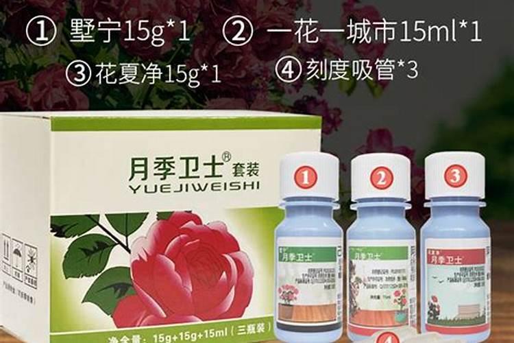 月季叶子正面白点背面有黑点,叶子之间还有很多像蜘蛛丝一样的,该买什 ...