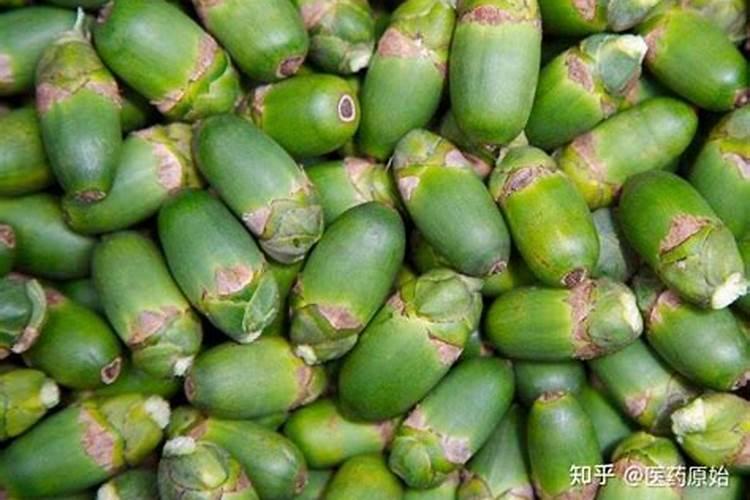 尿素水能灌根吗