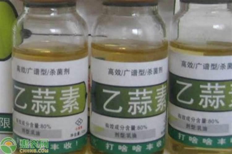 草莓打药后几天可以采摘食用？