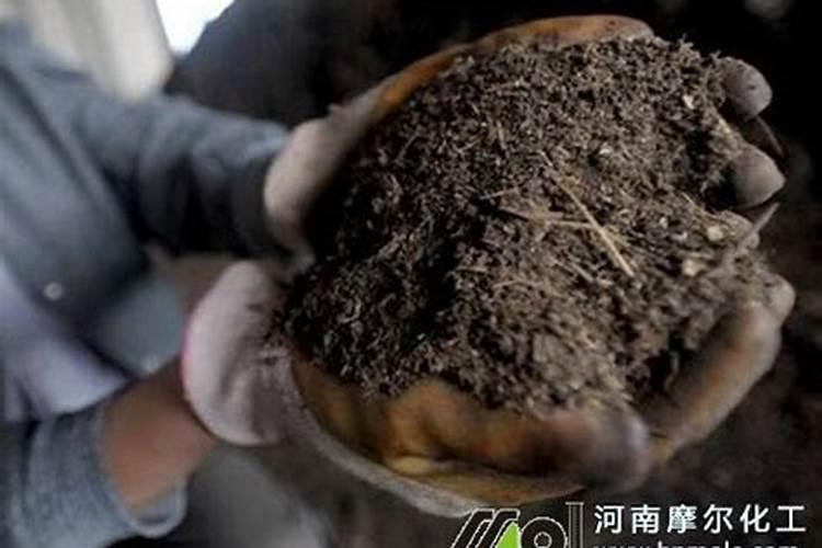 有机水溶肥能代替发酵剂吗