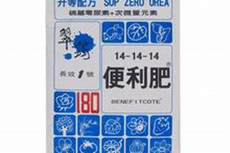 建兰花图片及养殖方法