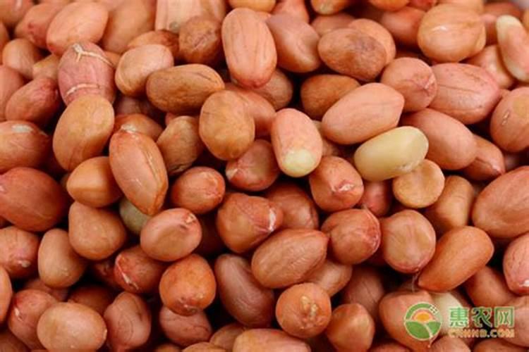 花生的种植成本