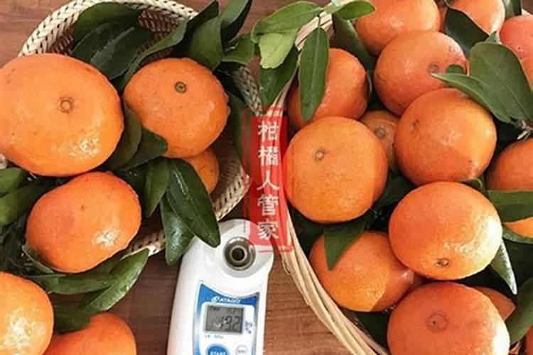 氮磷钾的肥料有哪些