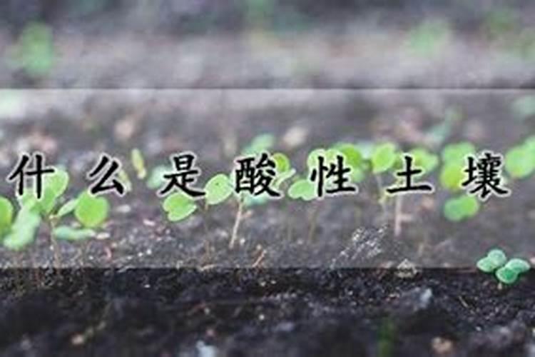 养花用啥土好呀？