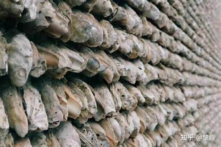 果树结果期施什么肥