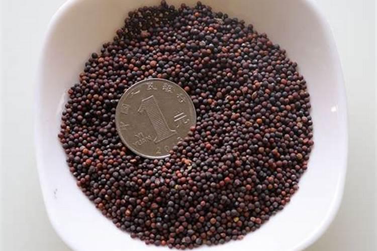 种清菜用什么肥料