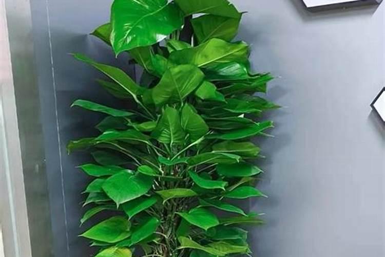 矿源黄腐酸钾是酸性还是碱性的