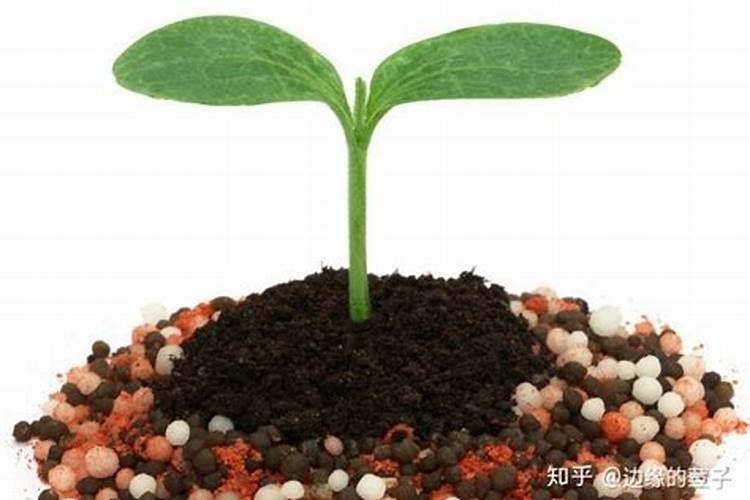 鱼塘肥水用磷肥和二氢钾可不可以