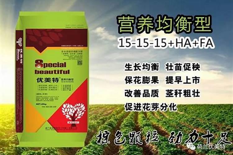 树苗施什么肥料什么时间施肥最好