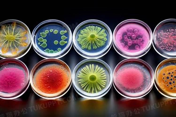 养花鲢春夏秋冬下什么肥料效果最好