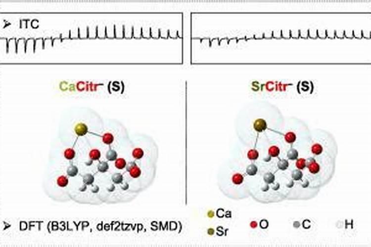 离子多功能肥料有哪些