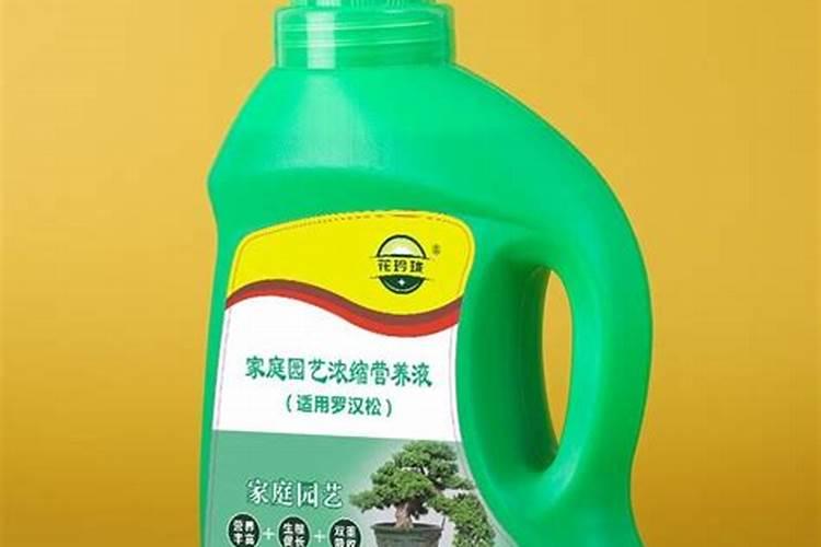 什么肥料能促长植物的根