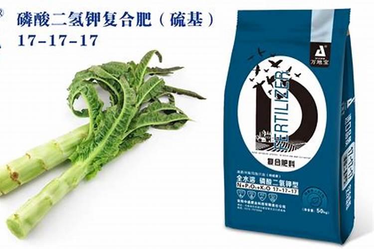 莴笋要如何种植管理才能茎嫩粗大不开裂？赶紧学习一下