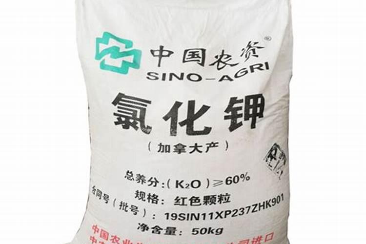 葡萄增产哪个水溶肥好？掌握施肥方案