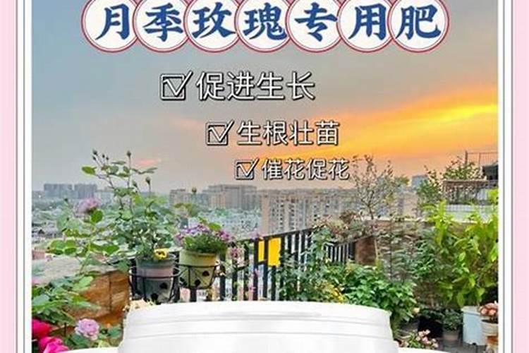 想要让香瓜种的又大又甜,种植的时候要注意什么？